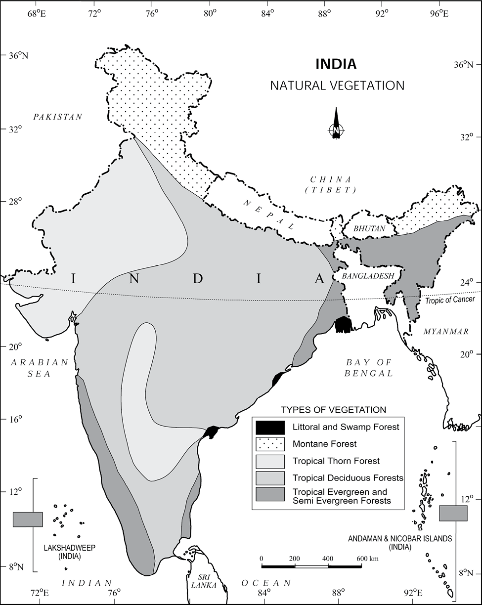 Natural Vegetation India Physical Environment