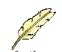 A feather.