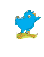 A chick of blue color