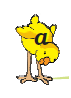 Letters a  written on chick.