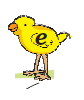 Letters e written on chick.