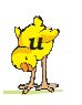 Letters  u written on chick.