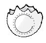 Dotted letter o written on broken shell of an egg.