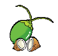 Coconuts 