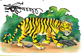 The tiger is irritated by the mosquito.