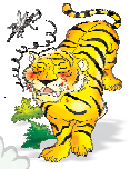 The tiger is walking as it is disturbed by the mosquito.