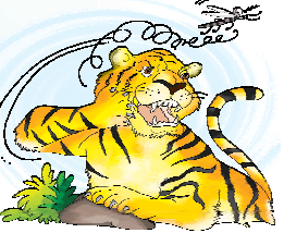 The tiger getting angry at the mosquito by raising its foot at the mosquito and the mosquito flew away.