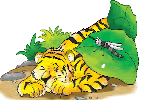 The tiger is lying on the ground and there is a mosquito on a leaf near the tiger.