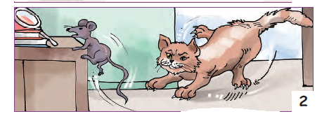 The mouse has climbed up the cupboard and the cat is running after it.