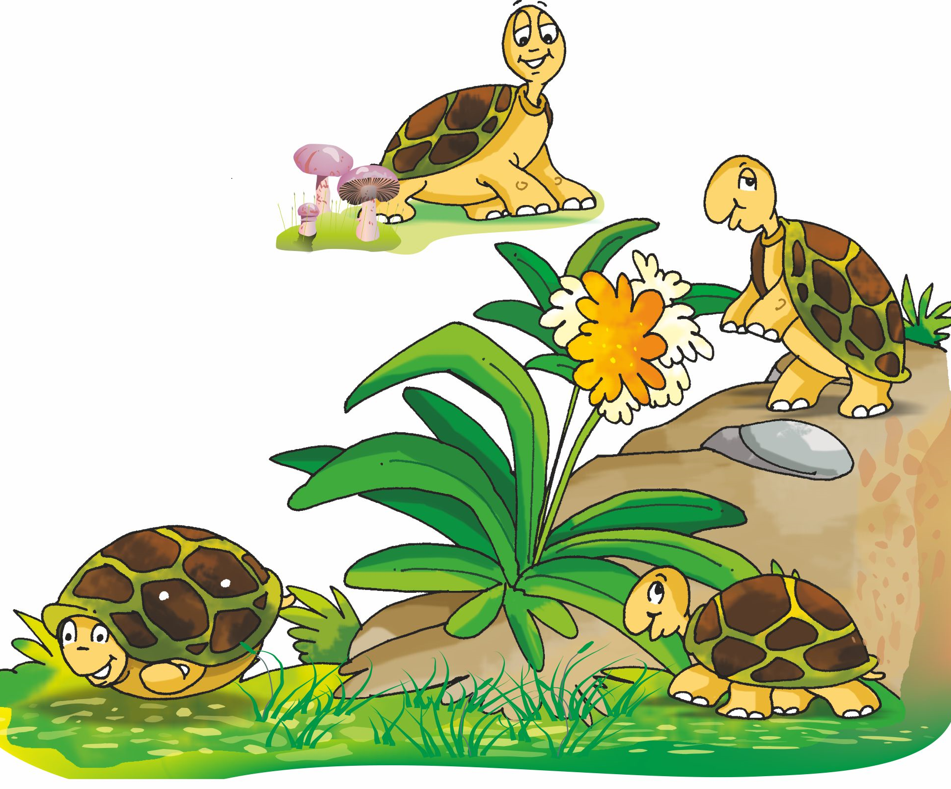 Two turtles, one on the rock and one on the grass.
