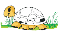 A turtle is moving.