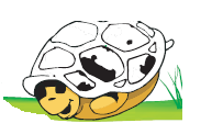 The turtle has turned upside down and it has put his head inside.