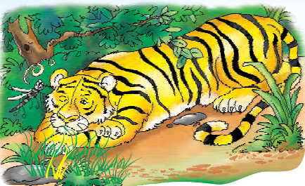 A mosquito talking to a big tiger lying under a tree.