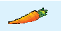 a carrot
