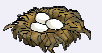 nest