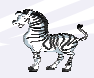 a zebra