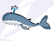 whale