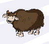 yak