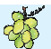 Bunch of grapes