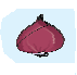 an onion