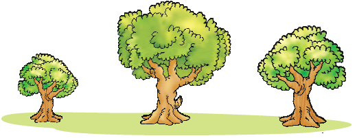 There are three trees, the largest of all them  is in the middle, on its left is the smallest of all and on its right is another tree.