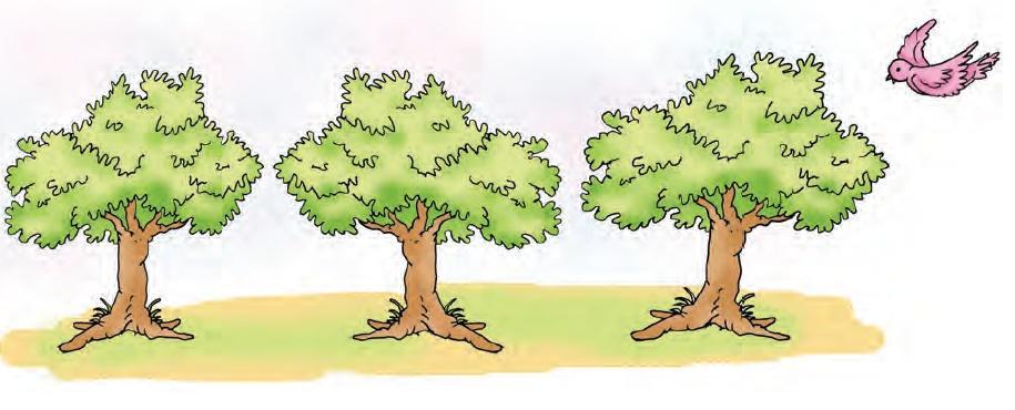 There are three trees in a row and a bird is flying near the last tree in the row.