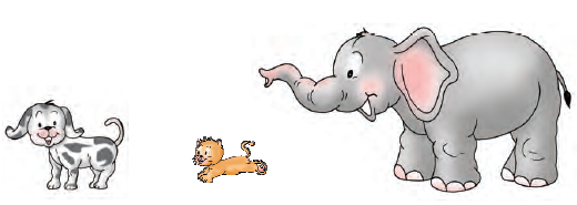 There is a dog, a cat and an elephant.