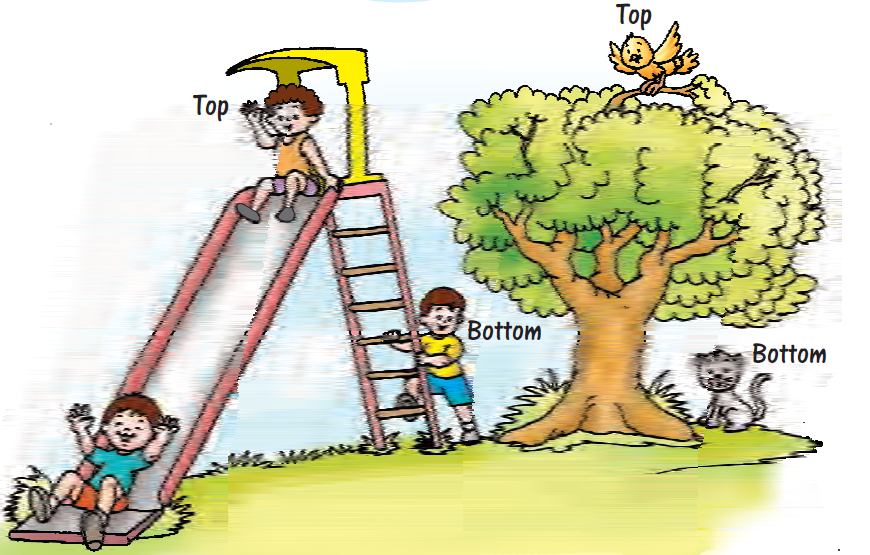 There is a slide, one child is standing one ground with his one foot on the first stair of the slide, one child is at the top of the slide and the third is at the ground, just slided from the swing. Behind the slide is a tree, at the top of it, there is a bird and near it, on the ground, a cat is sitting.