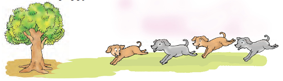There is a tree and a dog is running towards it, behind it is another dog, behind it is another dog and behind it is another dog, farthest from the tree.