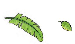 A small leaf is drawn next to a big leaf.