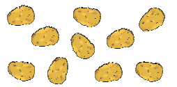 Eight potatoes.