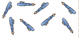 A pen followed by a pen, followed by a pen, followed by a pen, followed by a pen, followed by a pen, followed by two more pen and one more pen.