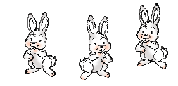A rabbit followed by another rabbit and one more rabbit.