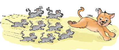 Eight fat rats running after a cat.