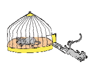 One more mouse out of two ran away and ____ mouse remains in the cage.