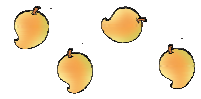 A mango followed by another, followed by another, followed by another and one more mango.
