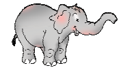 An elephant.