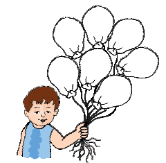 A boy is holding seven balloons in his hand.