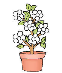 There are six flowers in a pot.