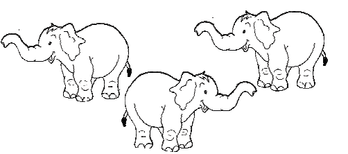 Three elephants.