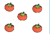 Five tomatoes.