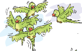 Four parrots are flying.