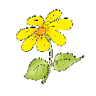 There is____ butterfly on the flower.