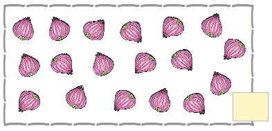 There are six onions in the first row, six onions in the second row and six onions in the third row.