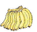 A bunch of ten bananas.