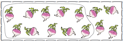 There are fourteen turnips in a box and ten are grouped together by drawing a boundary around them.