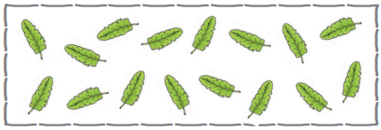 There are sixteen leaves.