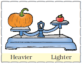 On one side of a weighing scale, there is a pumpkin and on the other side, there is a tomato. 
