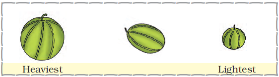 There are three pumpkins, the first one is the heaviest and the last is the lightest and there is a pumpkin in the middle also.