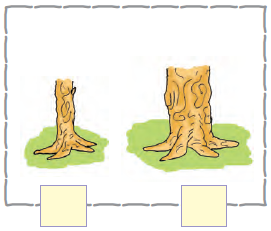 The first image is that of a thin branch of a tree and the second image is that of a thicker branch of tree.